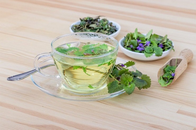 Les conseils et astuces pour choisir son type de thé (sachet ou vrac)